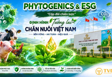 Phytogenics và ESG: “Cặp đôi chiến lược” định hình tương lai ngành chăn nuôi Việt Nam